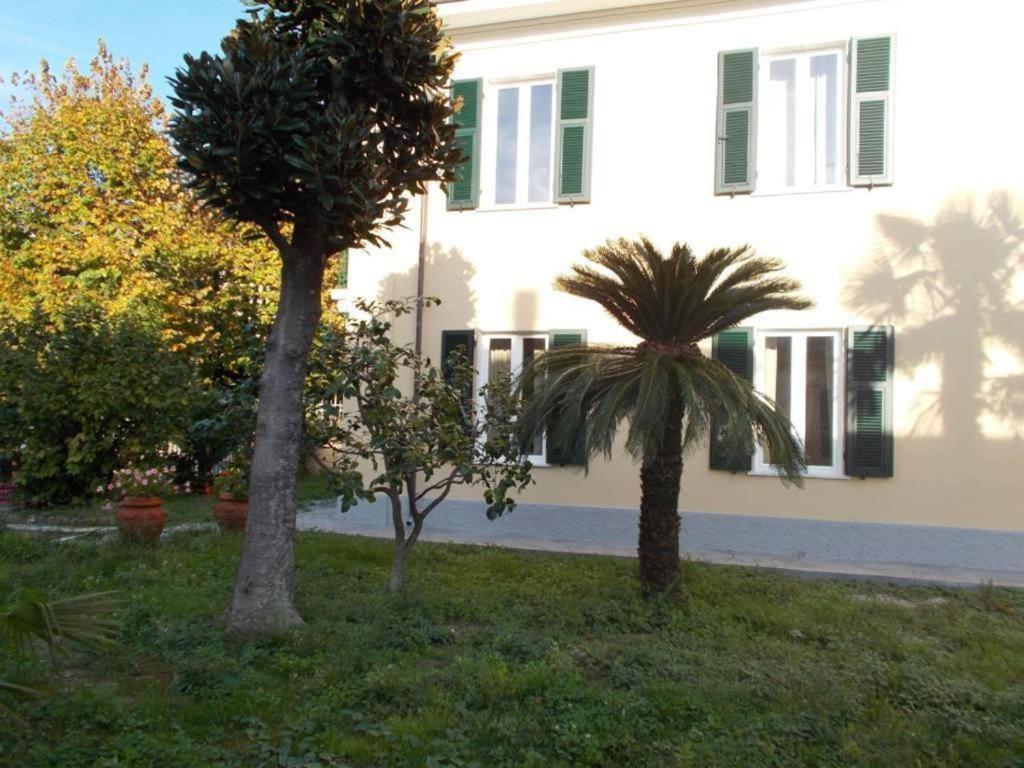 B&B Rossana Carrara Ngoại thất bức ảnh